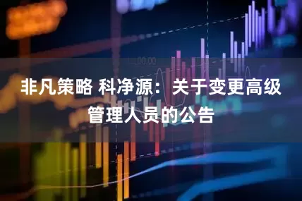非凡策略 科净源：关于变更高级管理人员的公告